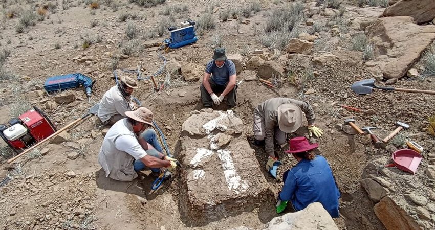 El equipo paleontológico extrajo los restos tras 12 días de campaña. Foto: Gentileza Ministerio de las Culturas. 