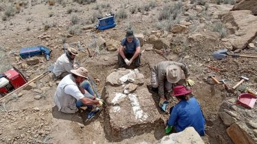 Paleontología y arqueología: un patrimonio que todos debemos cuidar