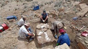 Paleontología y arqueología: un patrimonio que todos debemos cuidar