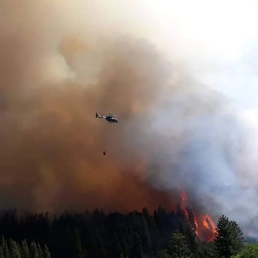El incendio ya alcanzó 400 hectáreas, la mayoría de bosques nativos. Foto ilustrativa. Archivo: Aluminé Televisión.