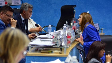 La defensa oficialista se concentró en el presidente de la bancada, Facundo López, y los legisladores Marcela Avila y Lucas Pica.