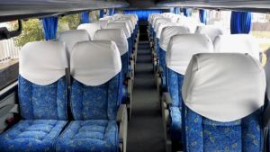 Se arrancó una uña con el asiento del colectivo y ahora deberán indemnizarla