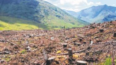 Desafíos de la producción agropecuaria pospandemia