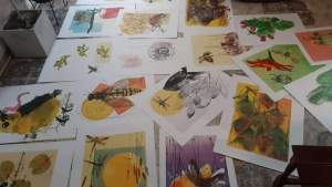 Cobicho: una colorida muestra de insectos