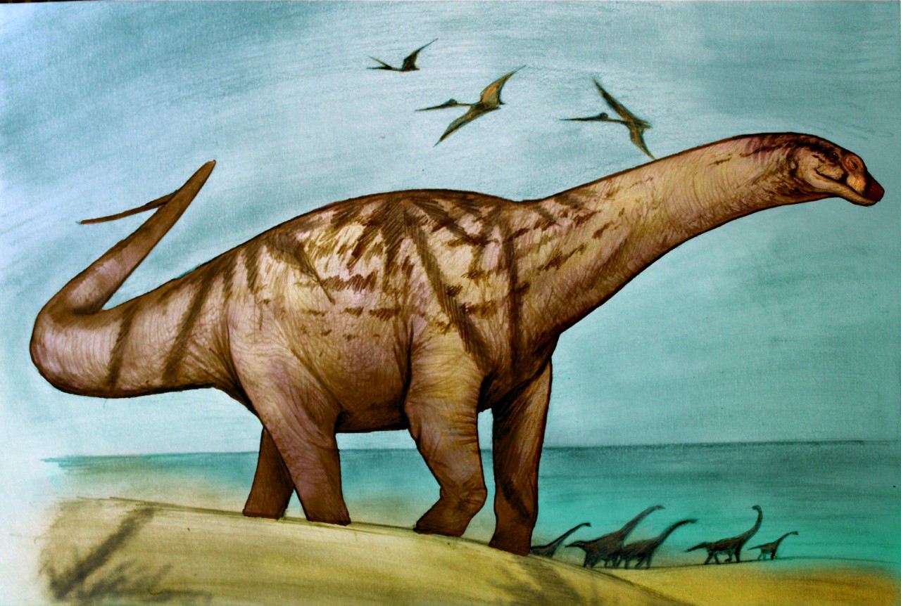 Hallan dinosaurio de cuello largo que vivió hace 70 millones de años en Río Negro Hallan dinosaurio de cuello largo que vivió hace 70 millones de años en Río Negro