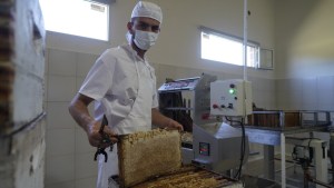 El apicultor de Choele Choel que trabaja como las abejas