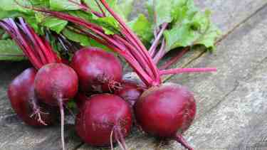 4 recetas de bocados hechos con vegetales mini, ideales para este verano