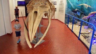 En el lugar funciona el Centro de Interpretación Faunística. Foto : Marcelo Ochoa