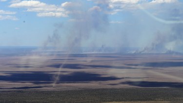 Foto: Agencia Télam. 