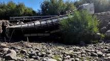 Imagen de Un camión que trasladaba 200 chivas cayó debajo de un puente en el Norte Neuquino