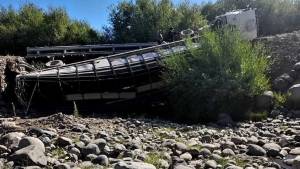 Un camión que trasladaba 200 chivas cayó debajo de un puente en el Norte Neuquino