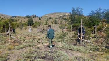 El procedimiento estuvo a cargo de Bosques, la Comisaría 80 y el Splief. Foto: gentileza