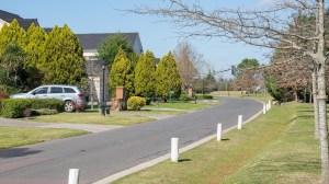 Tras los carpinchos, otra especie preocupa a los habitantes de countries bonaerenses