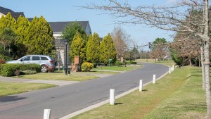 Tras los carpinchos, otra especie preocupa a los habitantes de countries bonaerenses