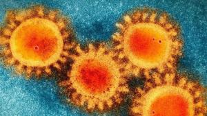 «El fin de la pandemia está cerca», auguran desde la prestigiosa revista The Lancet