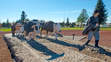 El joven había viajado desde Neuquén hasta  la ciudad de Zapala. Foto: Archivo