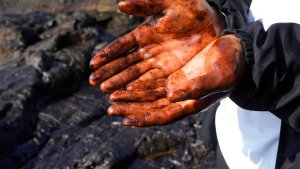 La erupción del volcán en Tonga provocó un derrame de petróleo en playas de Perú