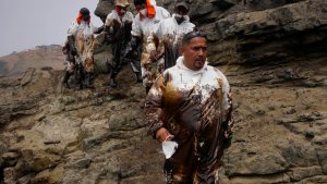 El derrame de petróleo en la costa de Perú dejó un sombrío balance