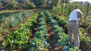 Agroecología, una oportunidad