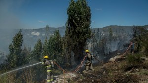 Bariloche: controlaron el incendio y evitaron que llegara hasta unas casas