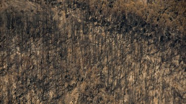 Crisis climática: políticas postergadas