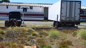 El frigorífico recuperado de Bariloche se reconvierte con otras faenas