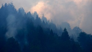 Nación declaró la emergencia ígnea en todo el país por un año: cómo impacta en la región