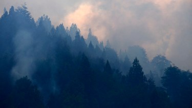 Nación declaró la emergencia ígnea en todo el país por un año: cómo impacta en la región