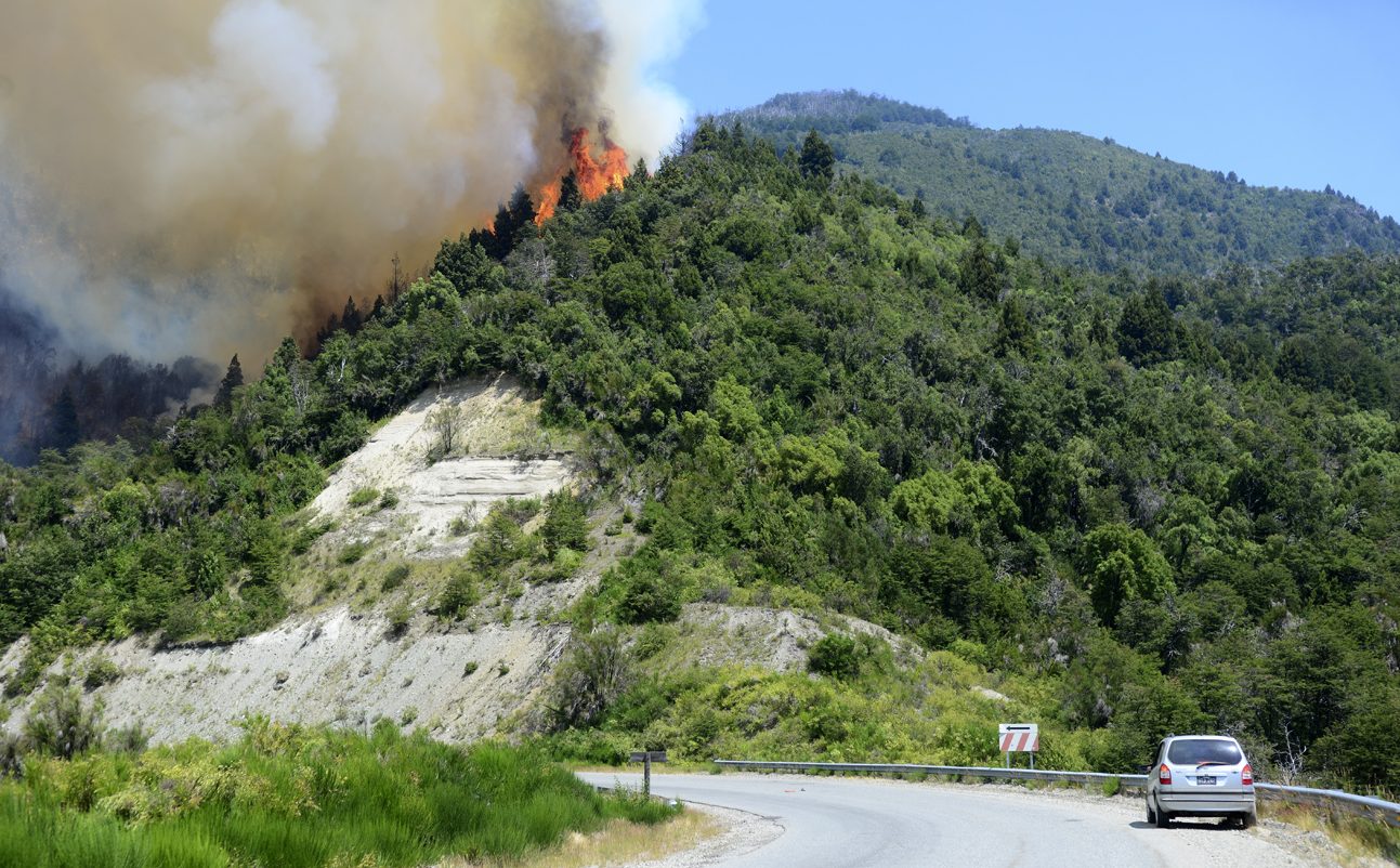 Los incendios más grandes del parque Nahuel Huapi se registraron el verano pasado en la zona de lago Steffen. Archivo