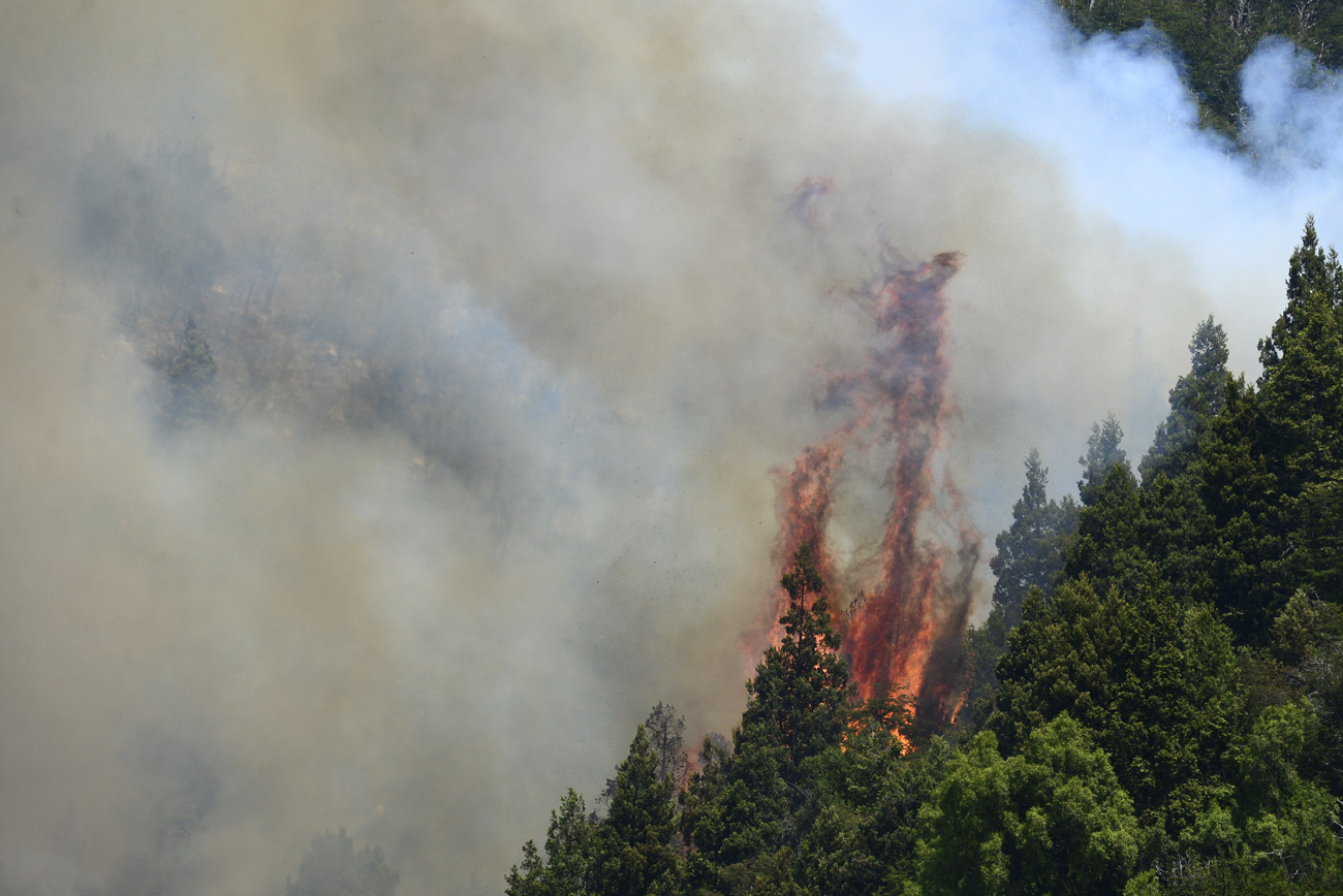 Enormes lenguas de fuego consumían este mediodía la vegetación en la zona del Cañadón de la Mosca, a unos 60 kilómetros de Bariloche. Foto: Chino Leiva
