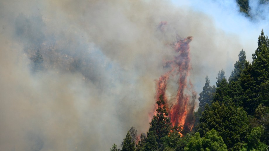 Enormes lenguas de fuego consumían este mediodía la vegetación en la zona del Cañadón de la Mosca, a unos 60 kilómetros de Bariloche. Foto: Chino Leiva