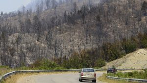 Cómo son las etapas de un incendio forestal hasta quedar extinguido