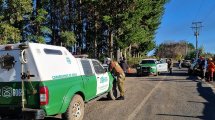 Imagen de Nuevo ataque en el sur de Chile: un camionero grave, tras ser herido de bala