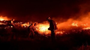 Los incendios forestales en Puerto Madryn fueron declarados «contenidos»