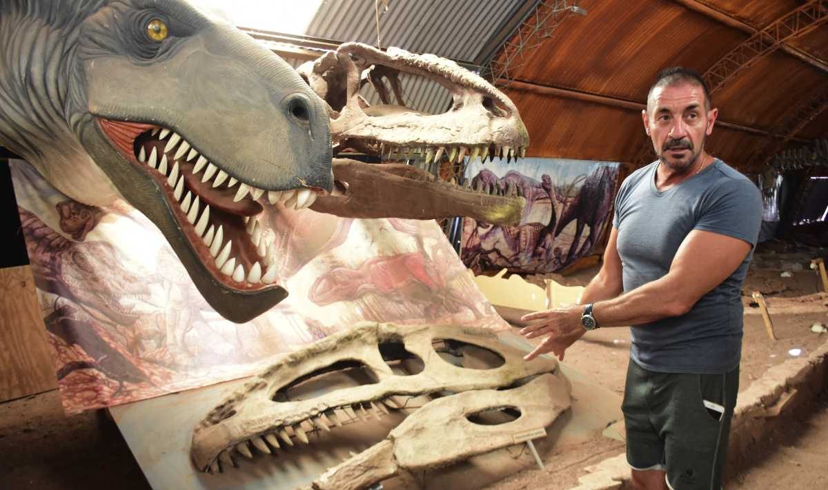 Los restos de dinosaurios se fueron acomodando en un galpón y el museo, que era repositorio y se adaptó a los huesos. Fotos Emiliana Cantera