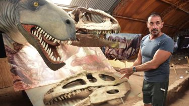 Los restos de dinosaurios se fueron acomodando en un galpón y el museo, que era repositorio y se adaptó a los huesos. Fotos Emiliana Cantera