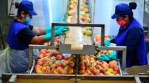 Imagen de El consumo de manzanas está en los mínimos de los últimos 60 años