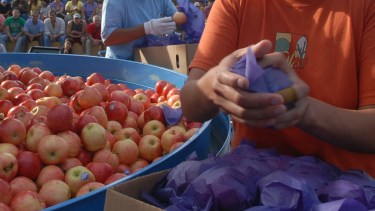 El certamen se concursa en el escenario mayor de la Fiesta de la Manzana con importantes premios. Foto ilustrativa (archivo)