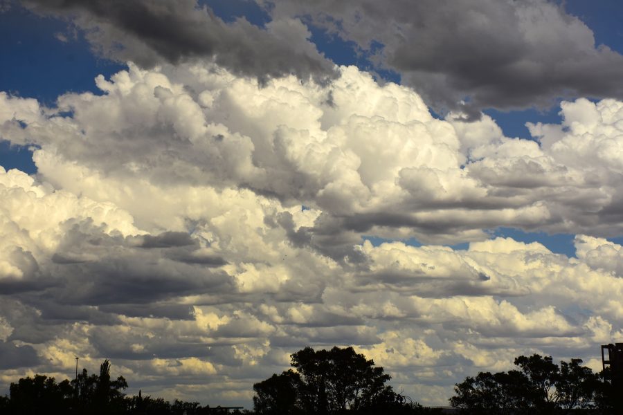 La nubosidad irá en aumento en las próximas horas. Foto: Andrés Maripe.-