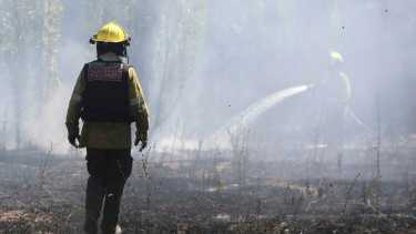 El fuego no afectó a las viviendas cercanas ni a las instalaciones del cementerio. Foto Juan Thomes