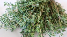 Imagen de Tomillo: de los antiguos egipcios y las guerras a Serrat y a Somuncurá