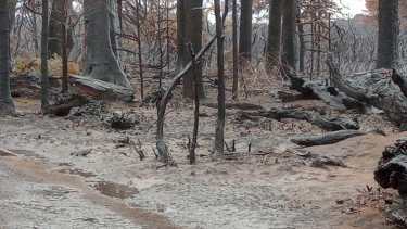 as condiciones meteorológicas, trajeron alivio en Aluminé. Foto: Gentileza 