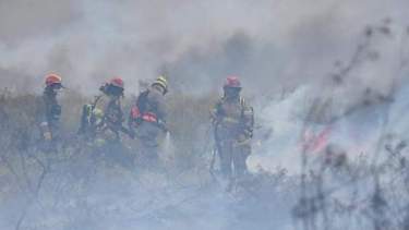 El fuego afecó la zona de Puerto Pirámides. Foto: Gentileza Gobierno de Chubut. 