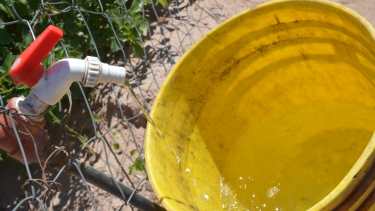Un hilo de agua: en algunos barrios eso es lo único que consiguen y en otros, directamente, no hay suministro. (Foto Yamil Regules).-
