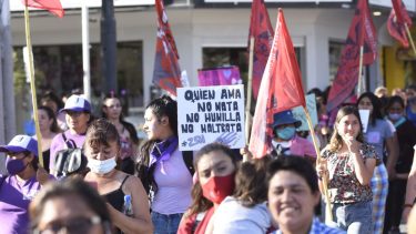 La adolescente tiene marcas en el cuero cabelludo, en la cara, en los brazos, muslos y piernas, según acreditó la forense. Foto Florencia Salto.