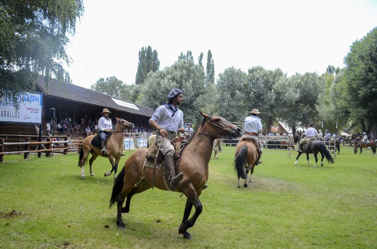 Suspenden en Neuquén jineteadas y eventos con caballos por el brote de Encefalomielitis. Foto: Diario RÍO NEGRO 