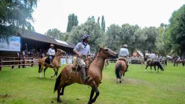Suspenden en Neuquén jineteadas y eventos con caballos por el brote de Encefalomielitis. Foto: Diario RÍO NEGRO 