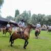 Imagen de Suspenden en Neuquén jineteadas y eventos con caballos por el brote de encefalomielitis