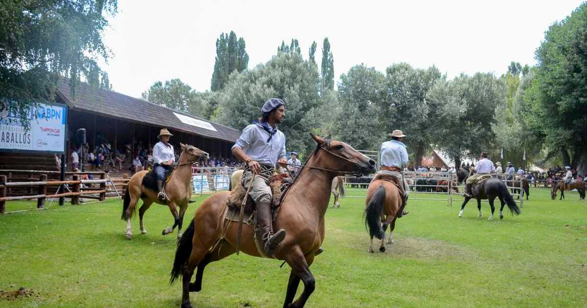 L’équitation et les manifestations équestres suspendues à Neuquén en raison d’une épidémie d’encéphalomyélite