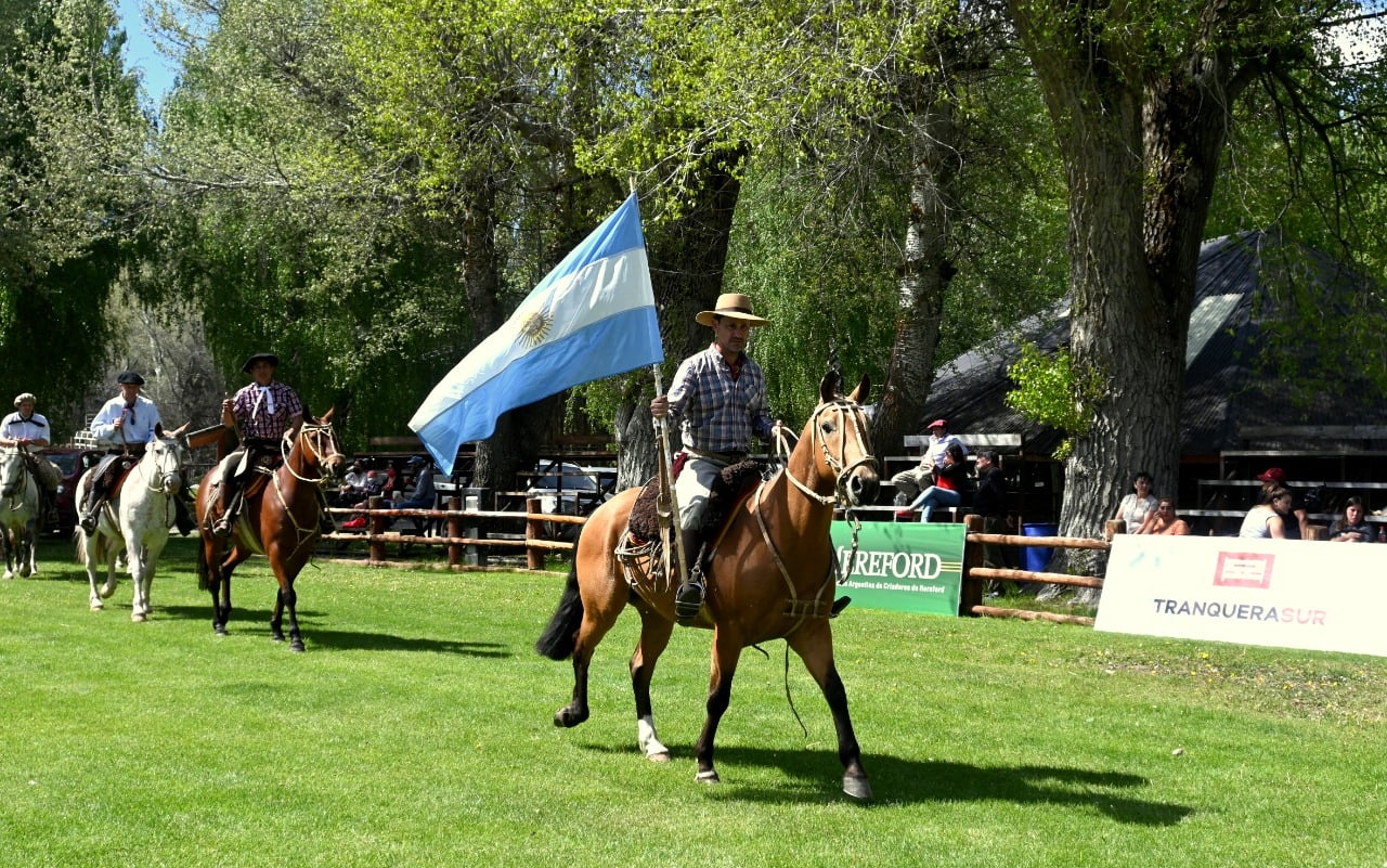 Los caballos criollos serán una de las atracciones en el predio de la Sociedad Rural. (Sociedad Rural del Neuquén)
